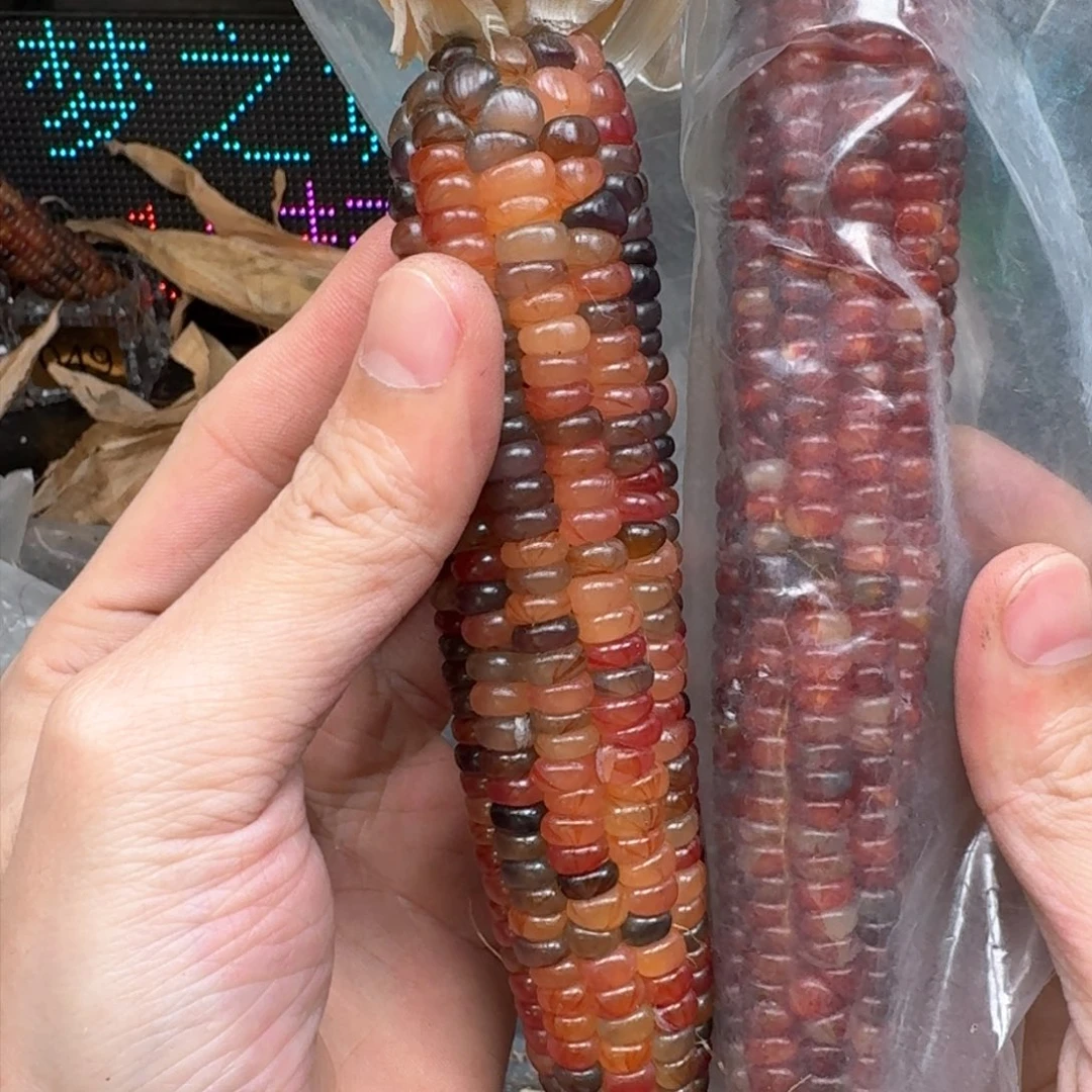 柏香籽/百香籽吊坠水****吗