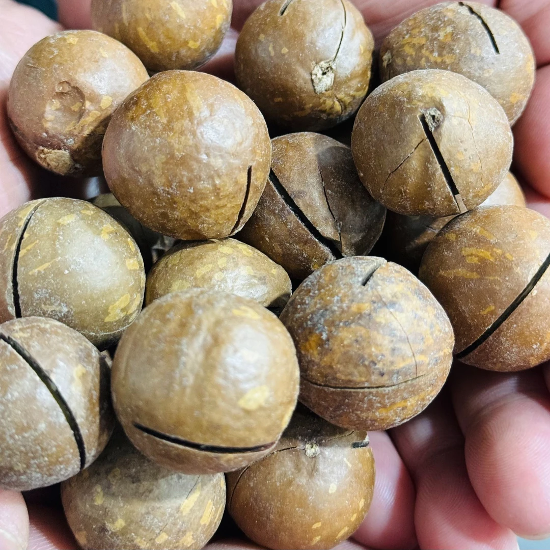 干果   夏威夷果散装1斤