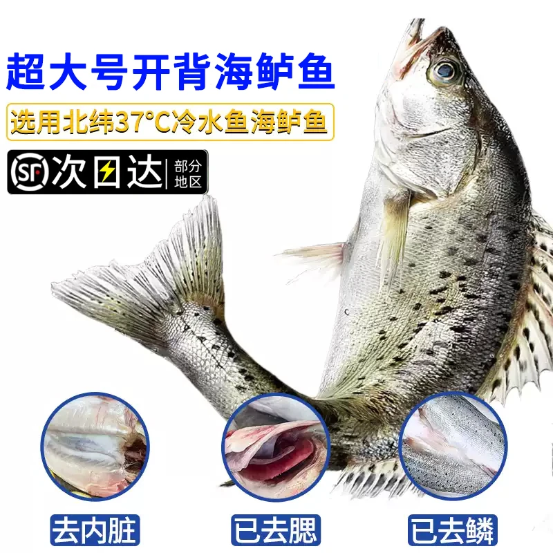 顺丰次日达【3/4条】【开背海鲈鱼】 海鲈鱼新鲜冷冻鲜活深海