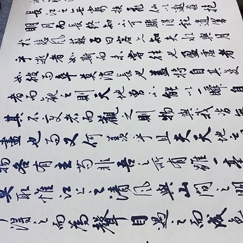 苏轼赤壁赋行书六尺作品