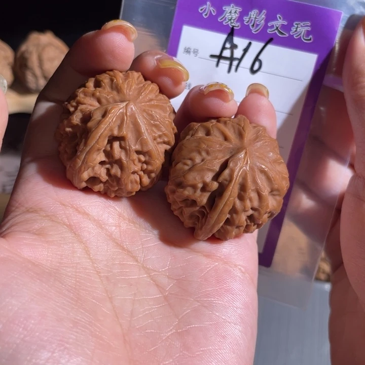 16号 一帆风顺古古怪怪