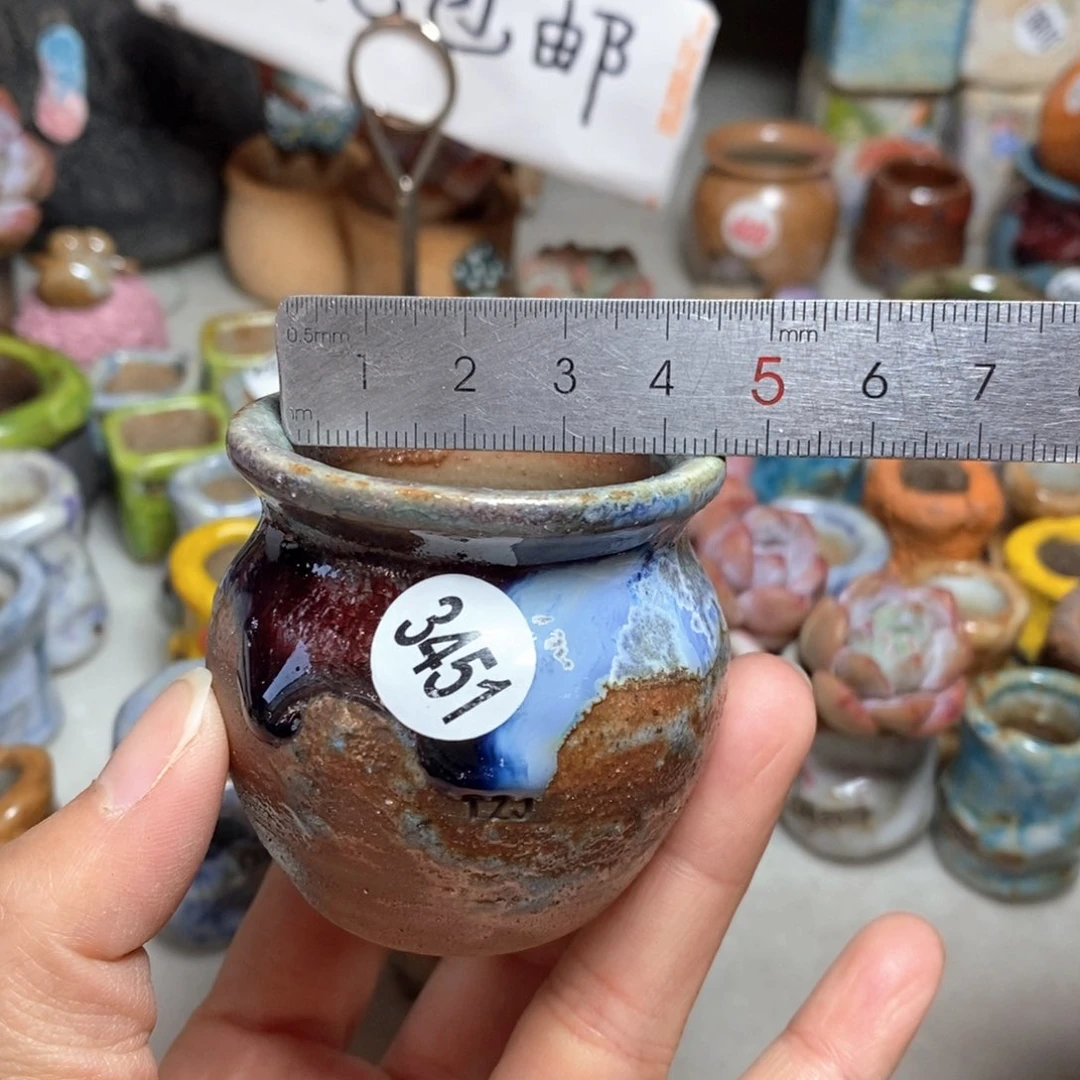 拍5送一个小礼物