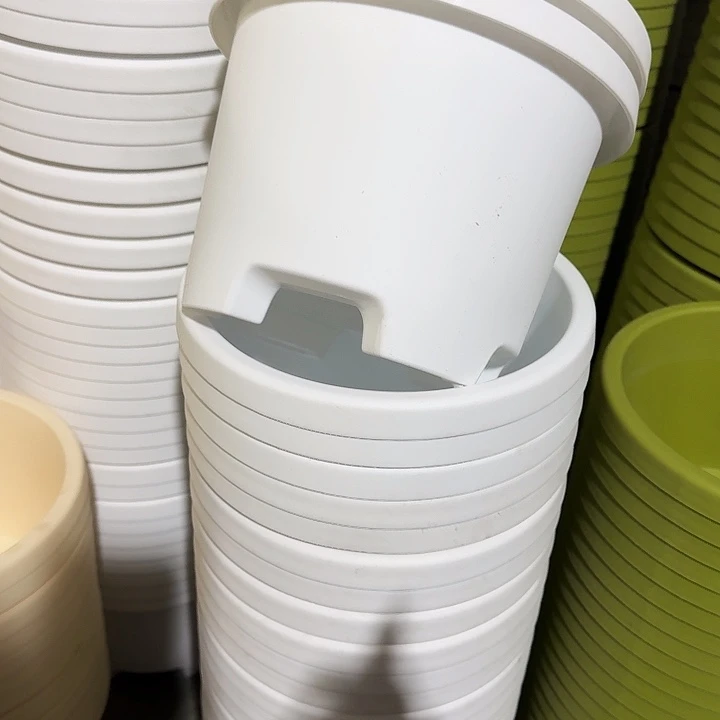 球根21口径6个无托白色