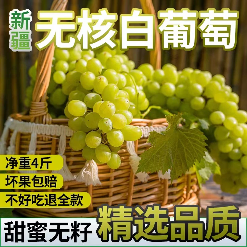 【空运包邮】新疆无核葡萄新鲜水果吐鲁番无籽葡萄青提果园现摘现发