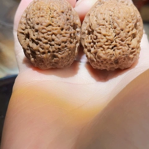 文玩核桃把件府上有龙带彩磕尖41+