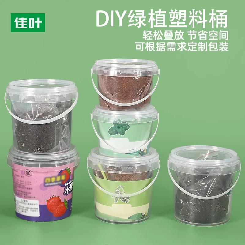 佳叶开学季DIY绿植塑料桶小水桶儿童趣味桶透明手提圆形带孔盖桶