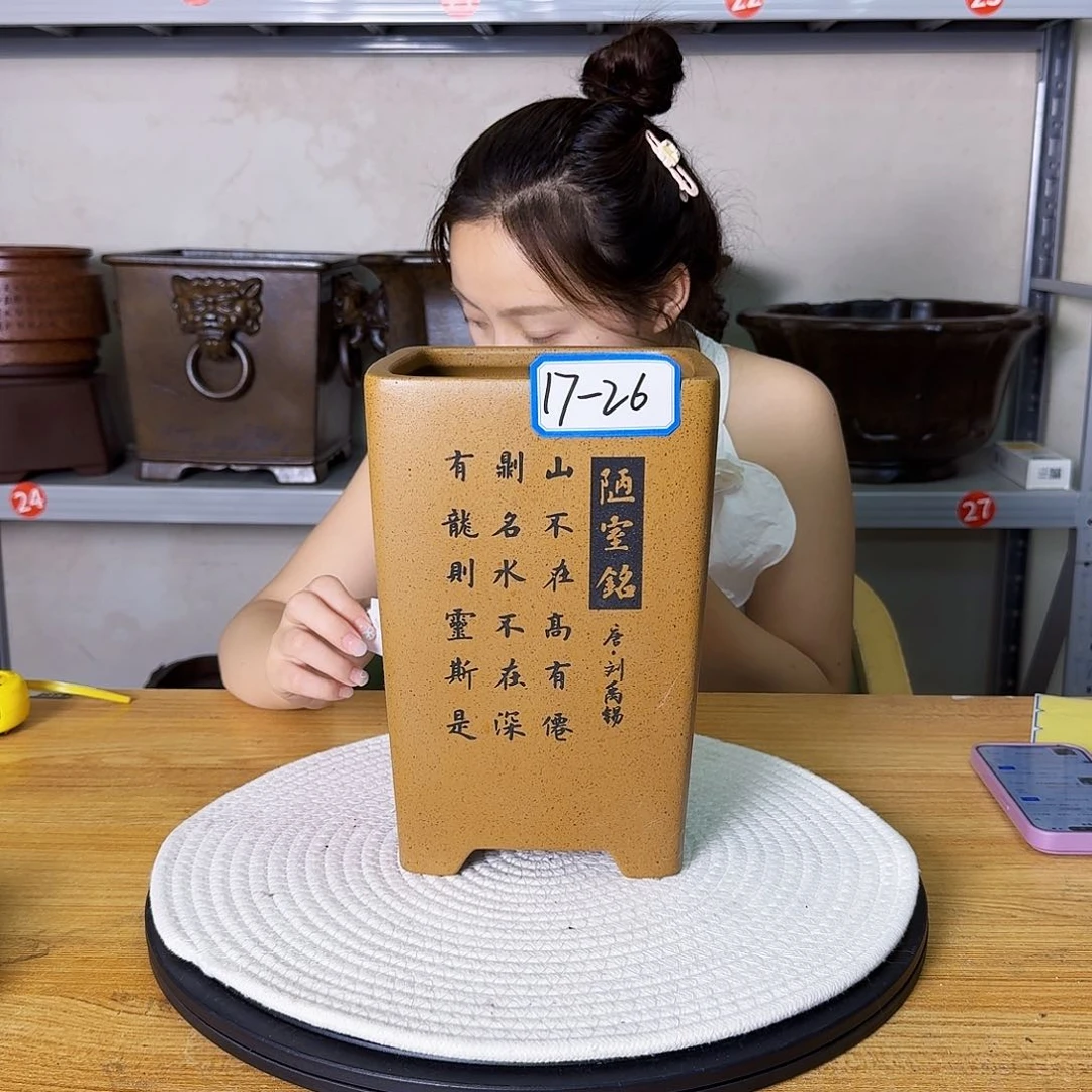 紫砂花盆紫砂花开