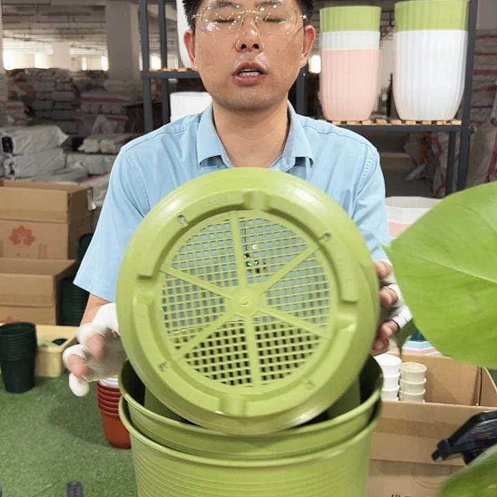 高陶21口27高27果绿无托3只