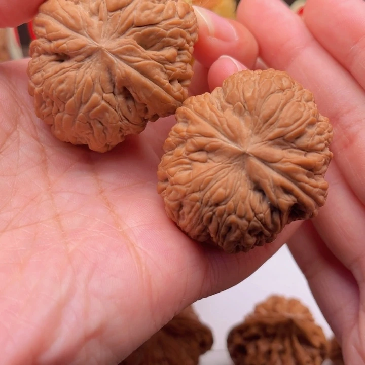 木质类文玩和他骨王40