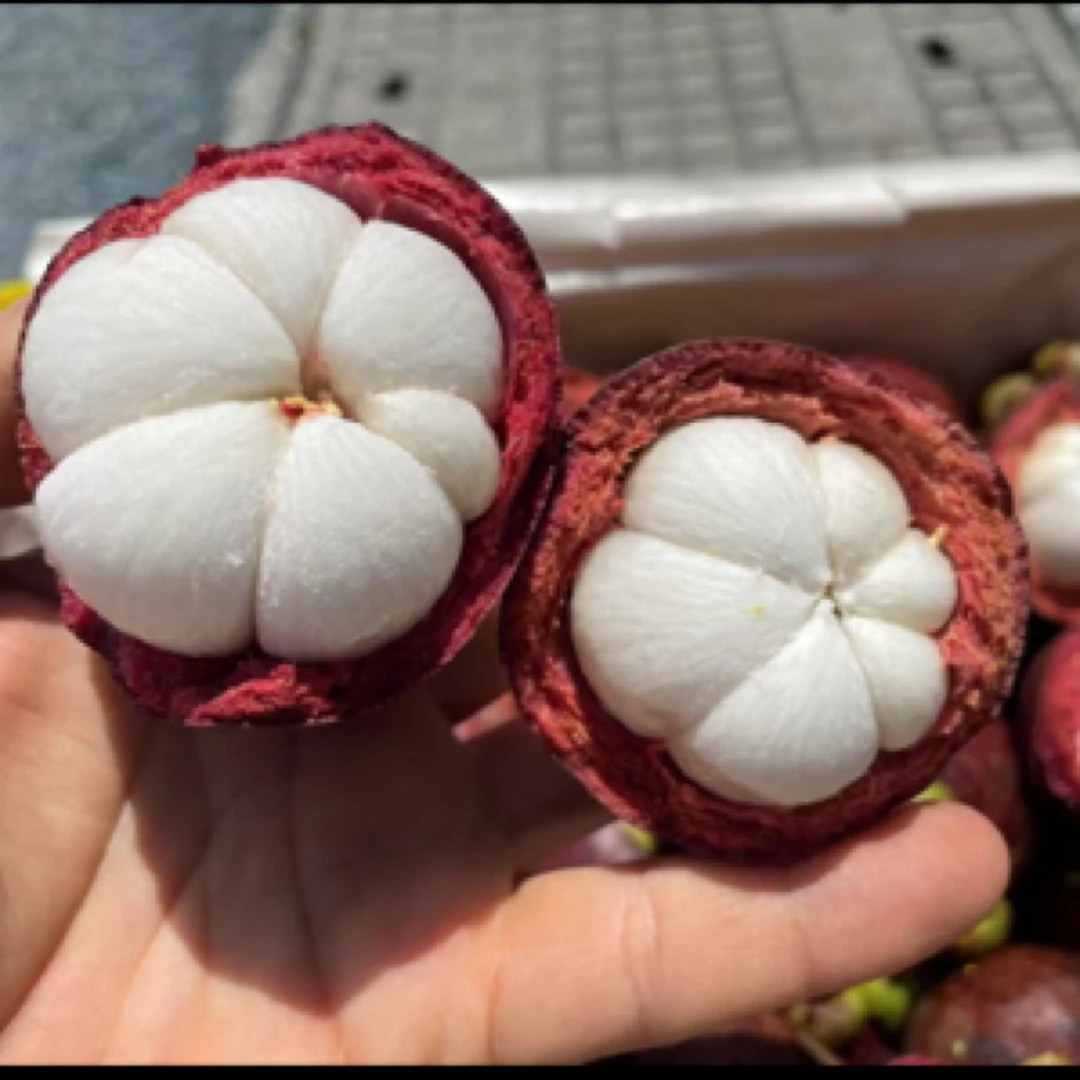 泰国新鲜老树5A山竹4.5斤【坏果包赔】