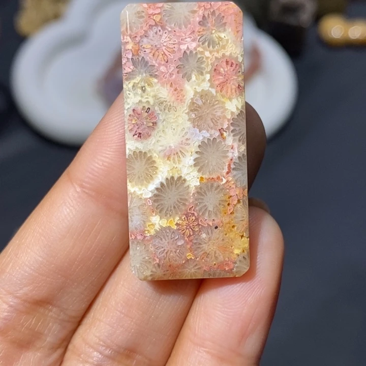 【闪购商品】未镶嵌珊瑚玉硅化玉