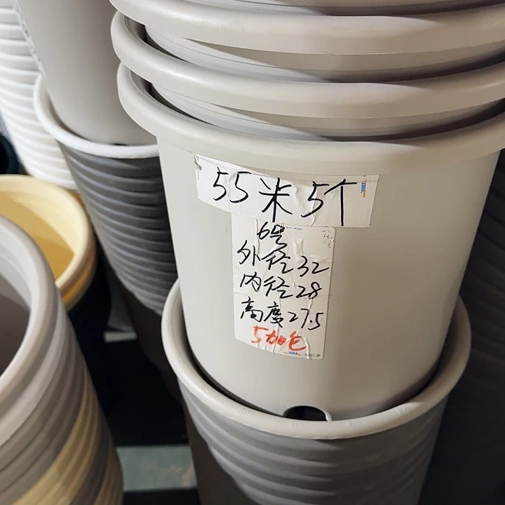 微瑕6#灰白5个无托