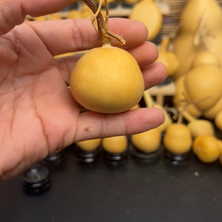 来*15568888885699999