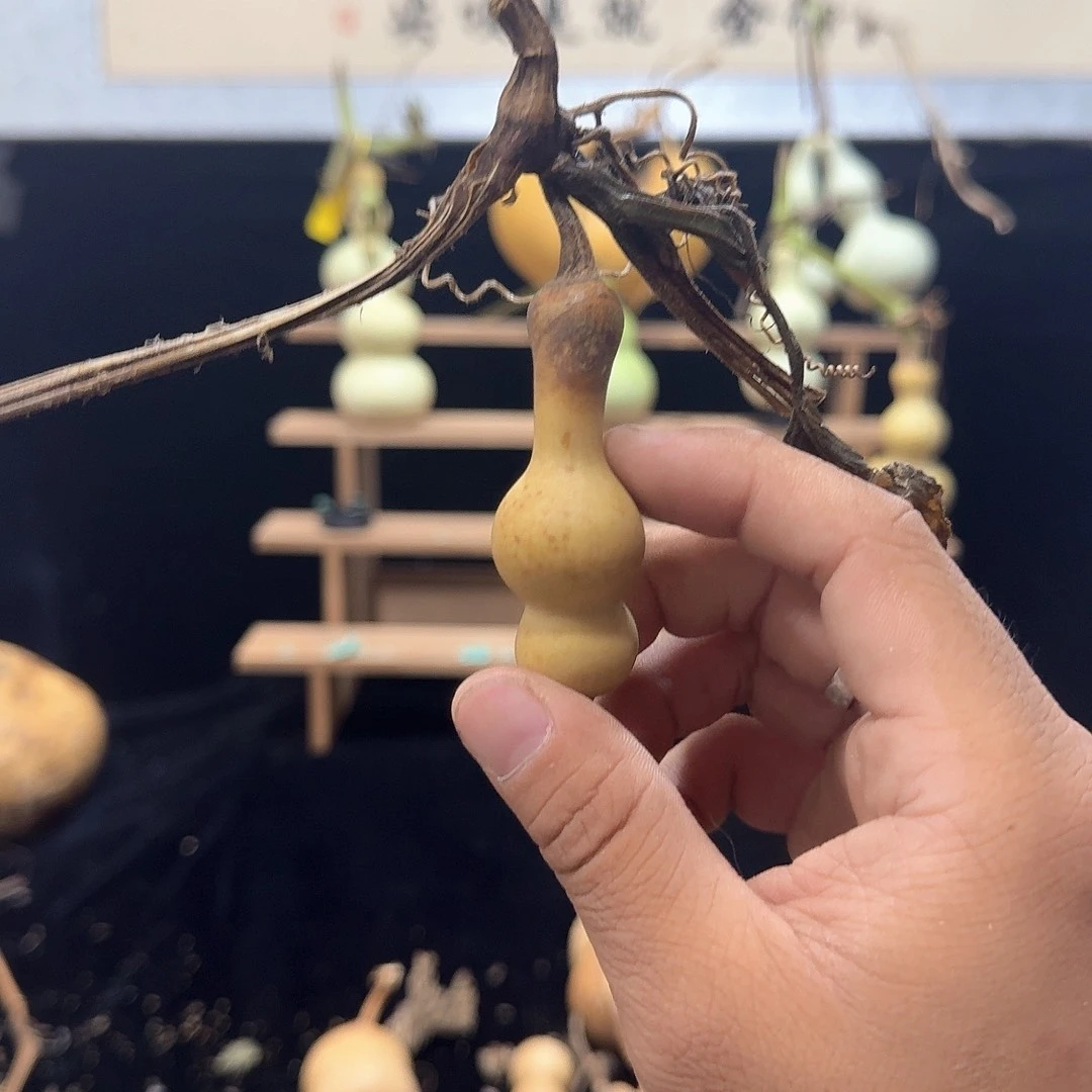 秦***阁定向定向定向定向