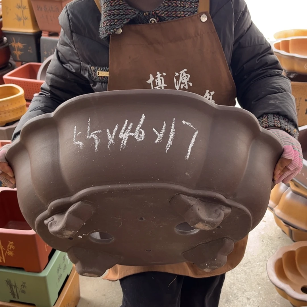 紫砂花盆盆景艺术