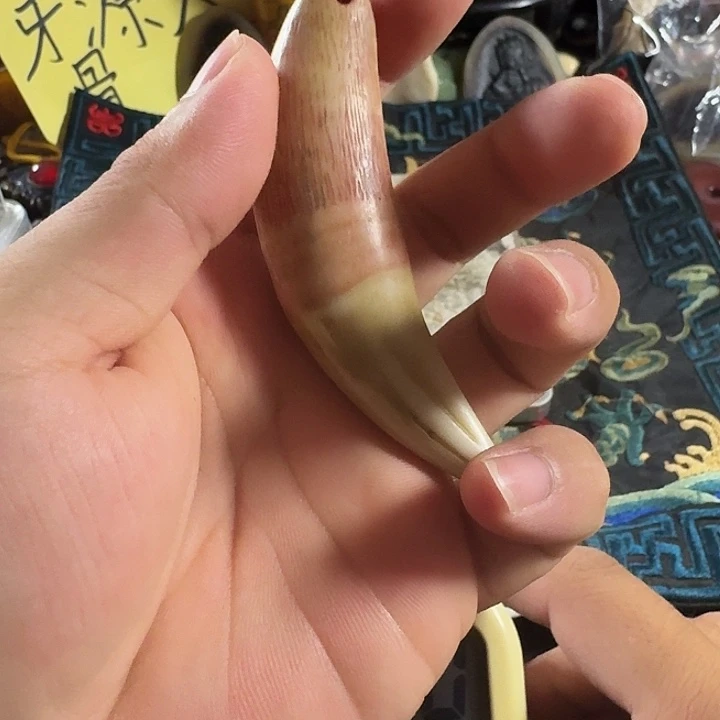 大哥专拍链接一号
