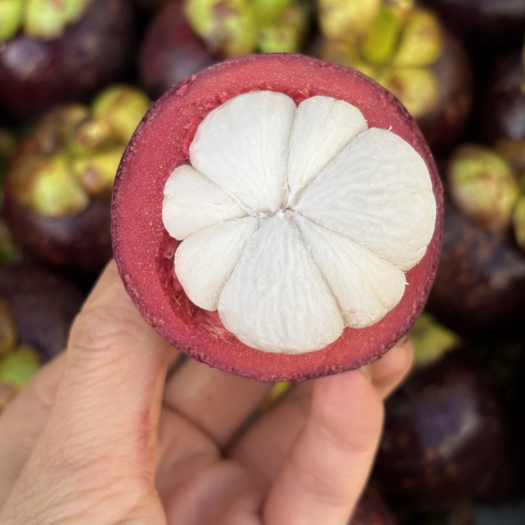 【即时零售】泰国新鲜3A麻竹山竹 酸酸甜甜带奶香坏果包赔3斤/5斤