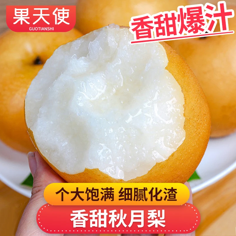 【果天使标准】纯正莱阳秋月梨4.5-5斤爆甜无渣新鲜水果送礼好吃