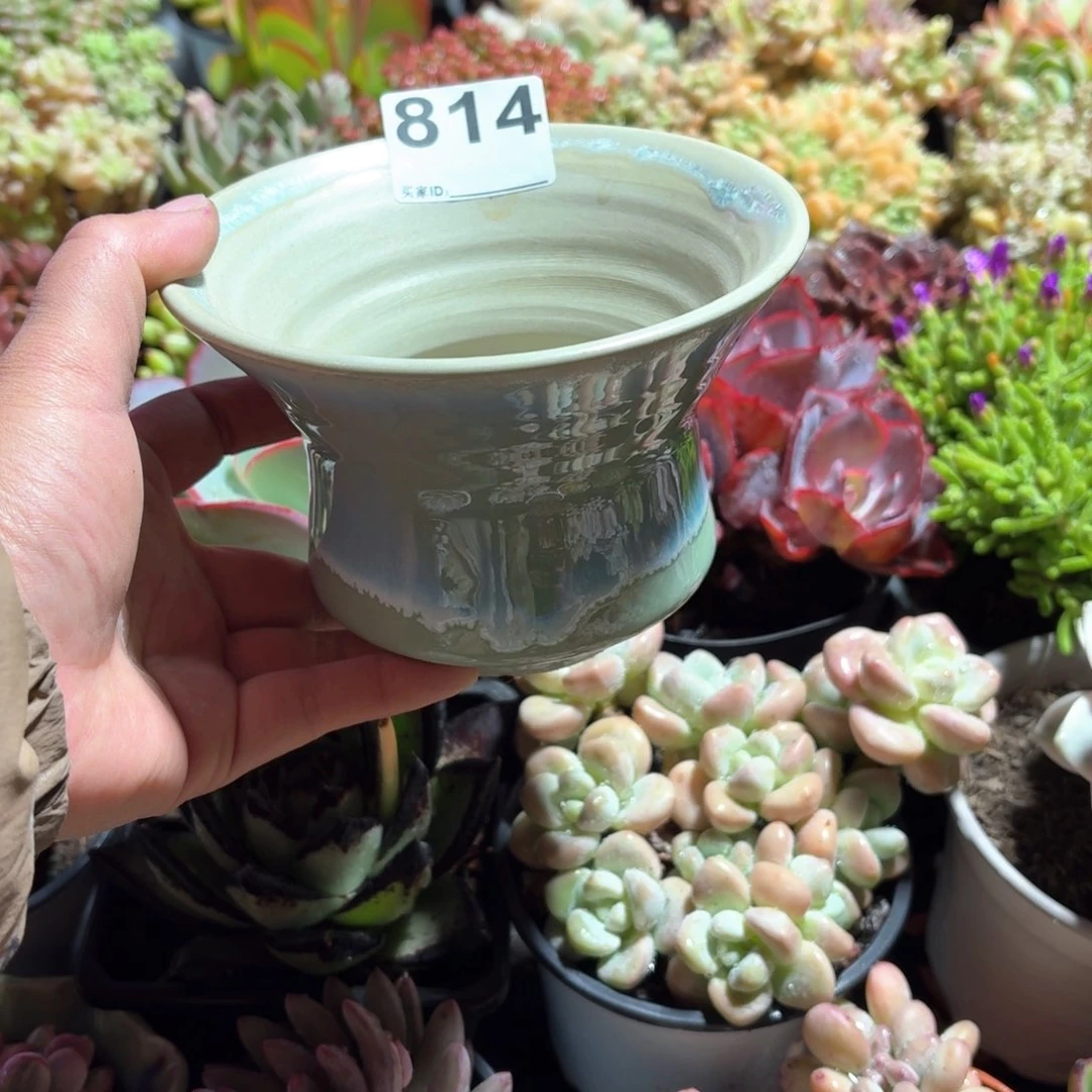 曌景德镇多肉花盆814