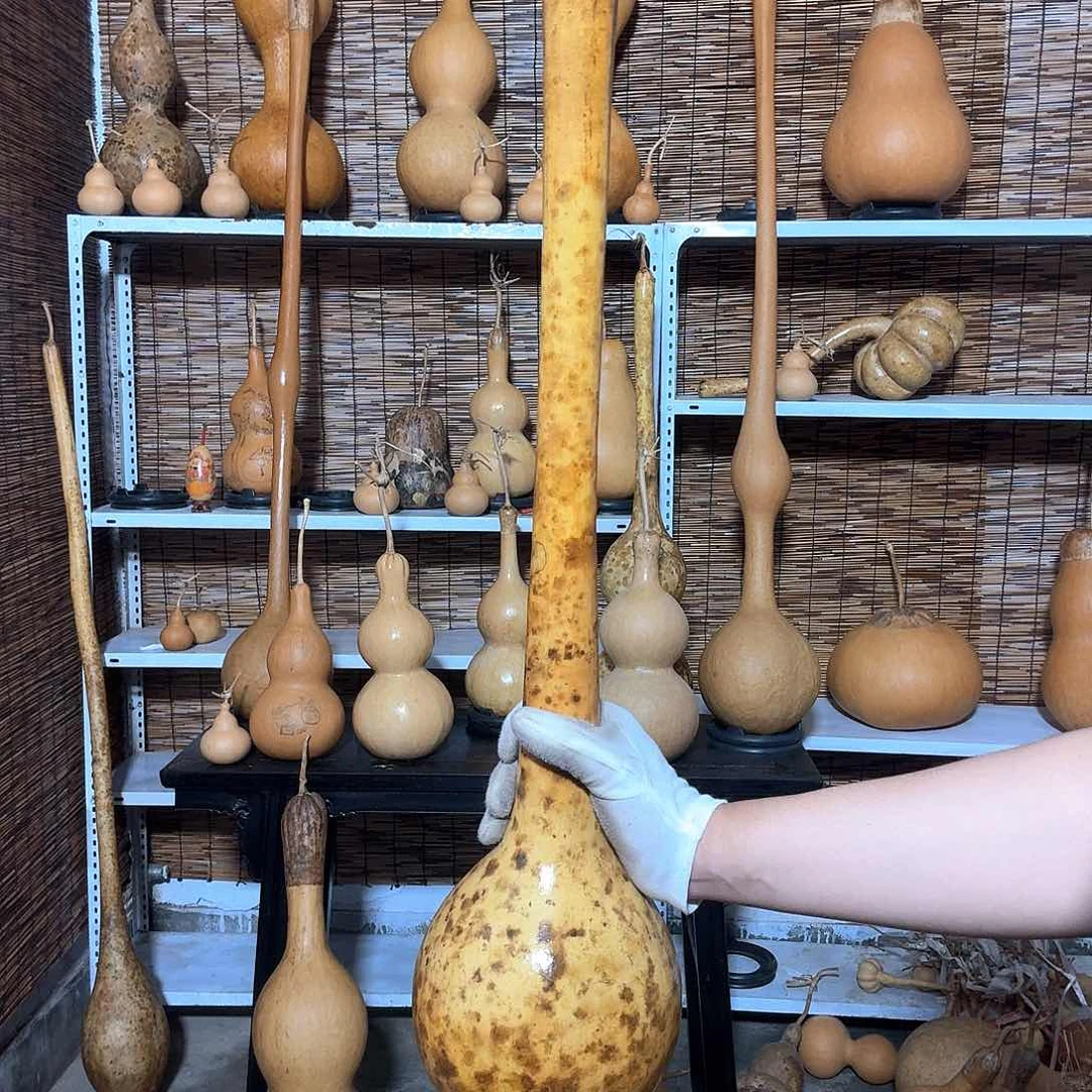 通**士葫芦葫芦葫芦葫芦