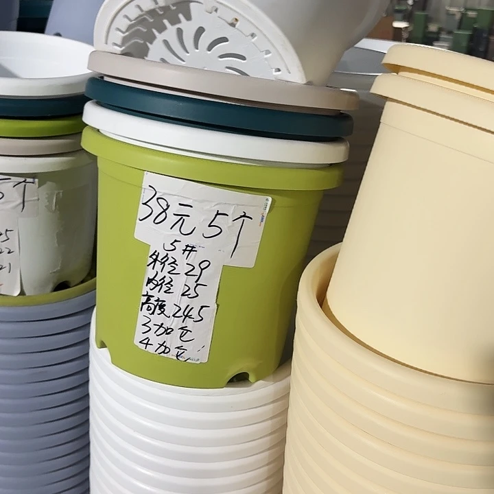 四季5#口径29果绿10个无托