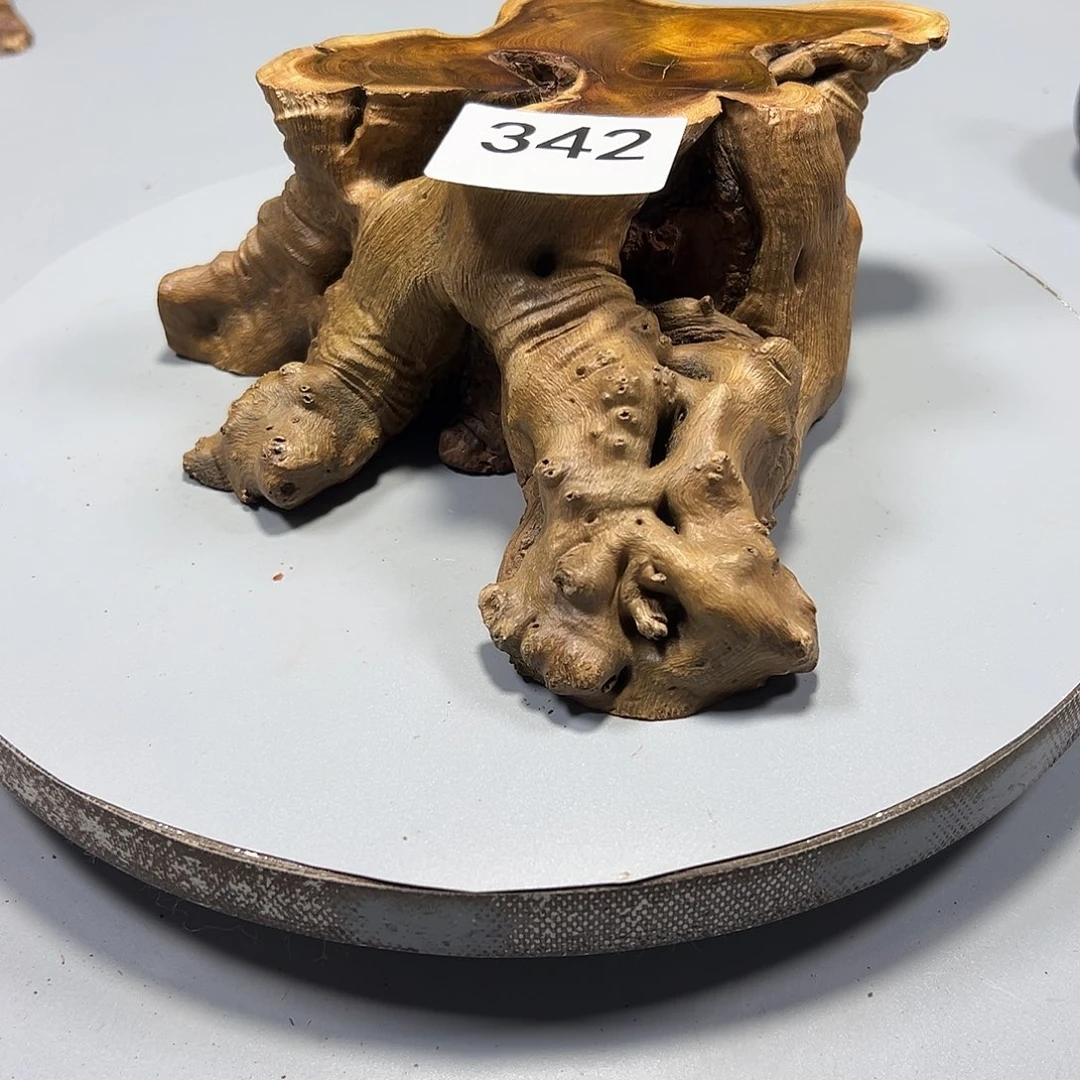 大果紫檀（缅甸花梨）唯*
