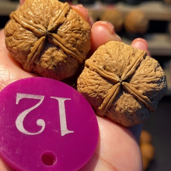 木质类蚂蚁纹四棱33尺寸，横平竖直