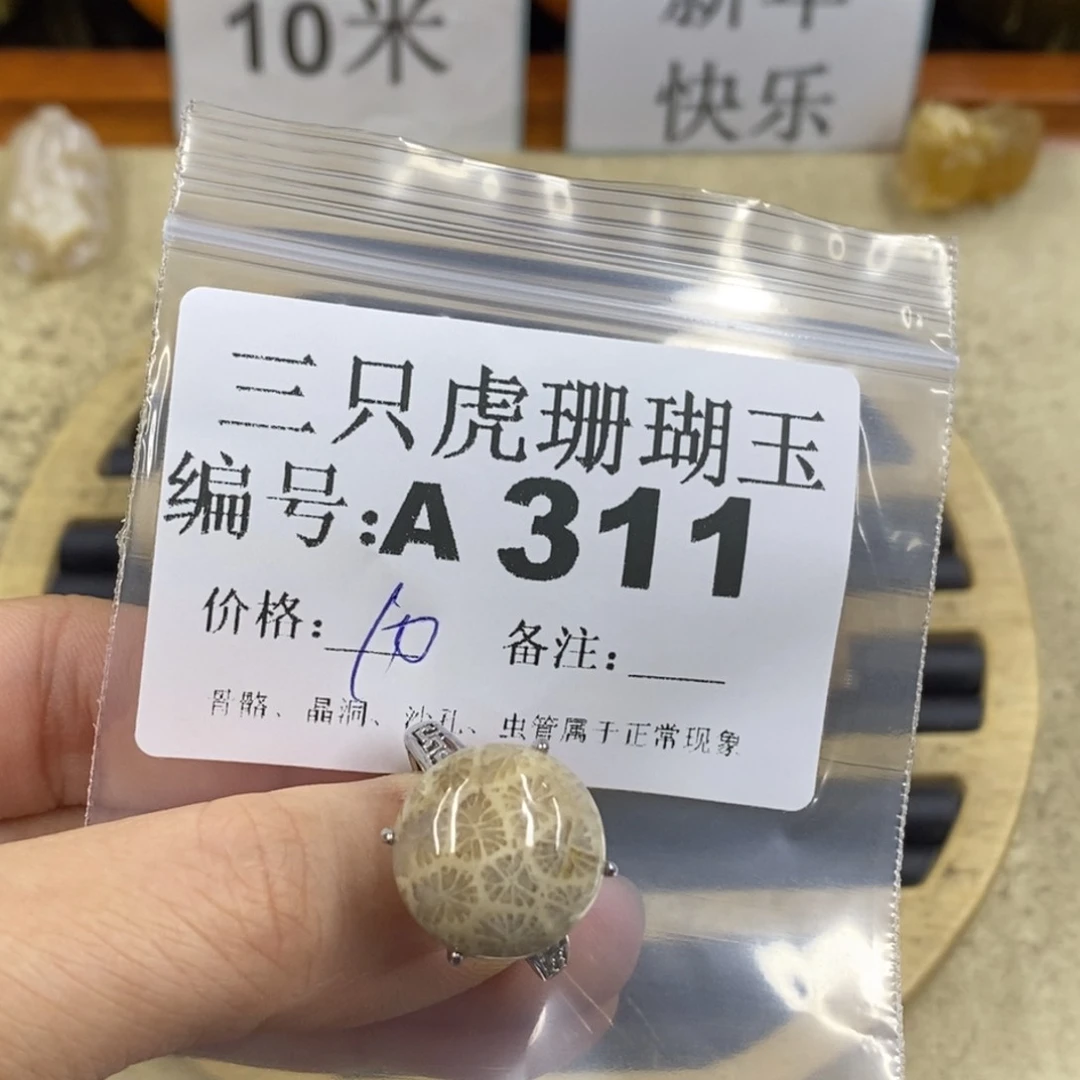 硅化珊瑚（珊瑚玉）1未镶嵌子*