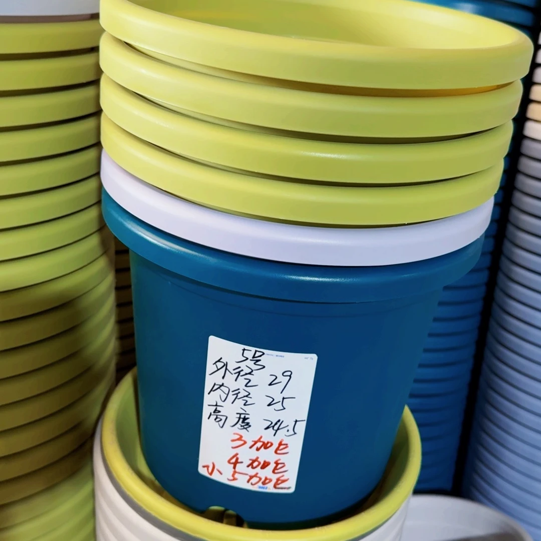微瑕5#无拖果绿6个