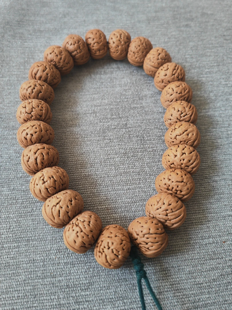 货头宽脐树王纽扣手持