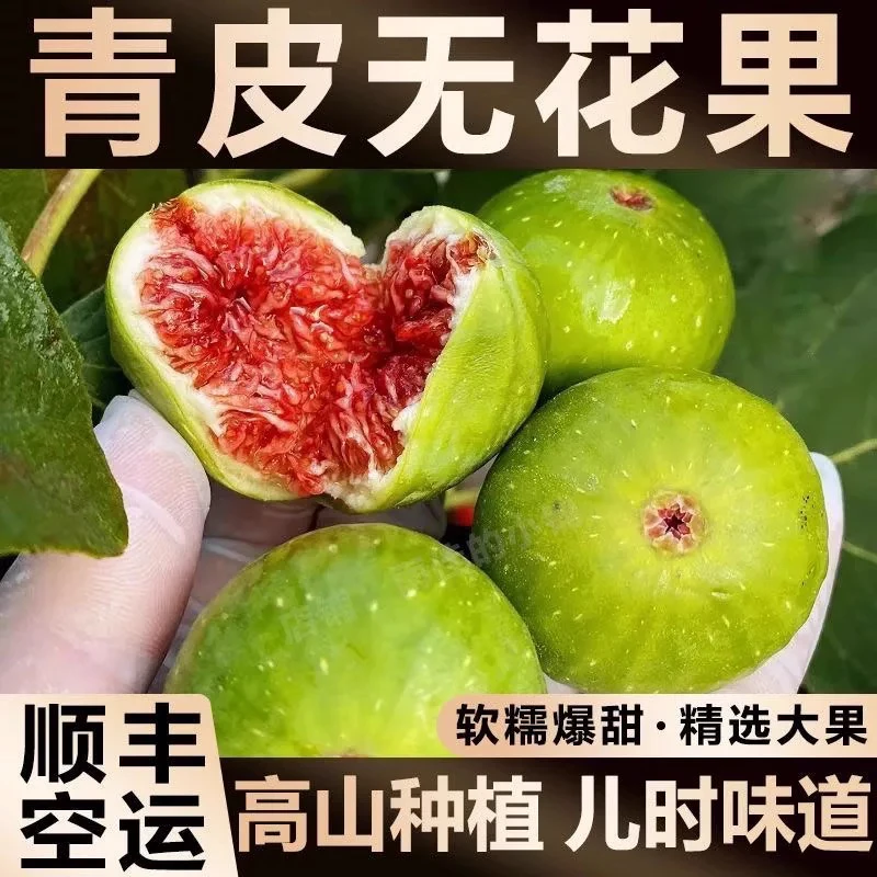 (顺丰空运)威海青皮无花果软糯香甜产地直发无花果青皮坏果包赔