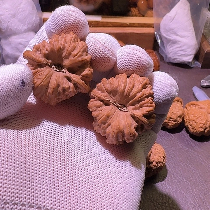 核桃文玩核桃平谷凹底8号