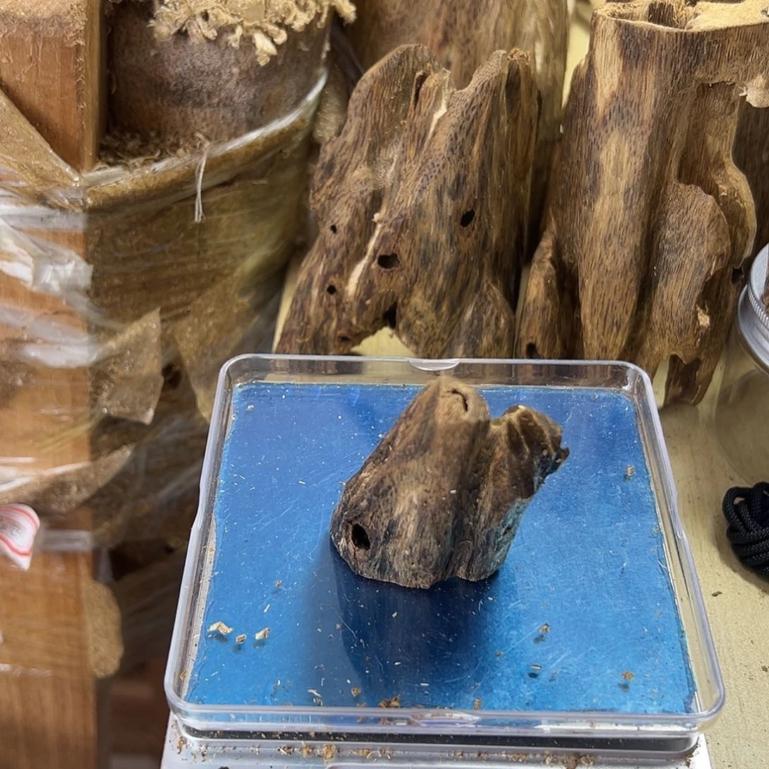 香料绿奇楠虫漏19克乌身