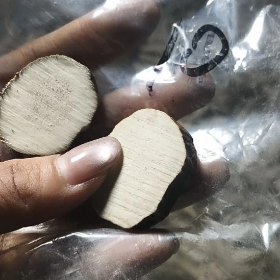 可***以非金属无鹿角鹿角鹿角鹿角鹿角鹿角