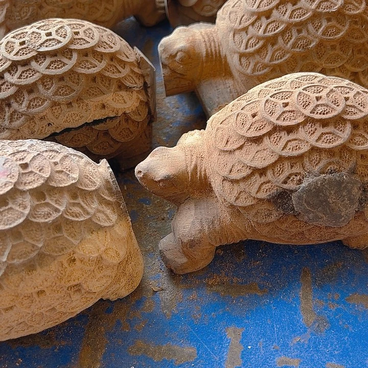 香榧木88880000808