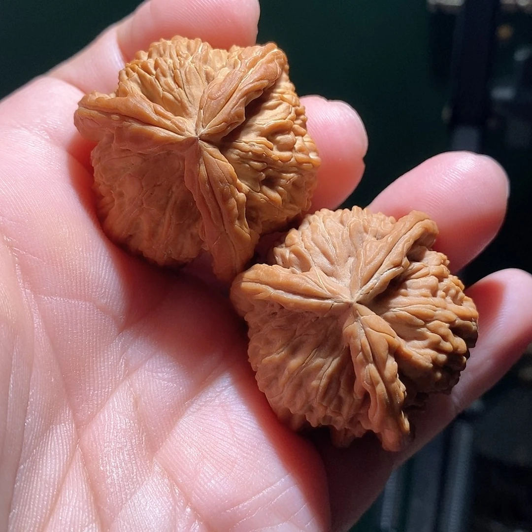 把件文玩核桃39白奔全品