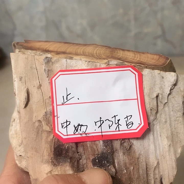 止***安大叶紫檀（黑酸枝木类）