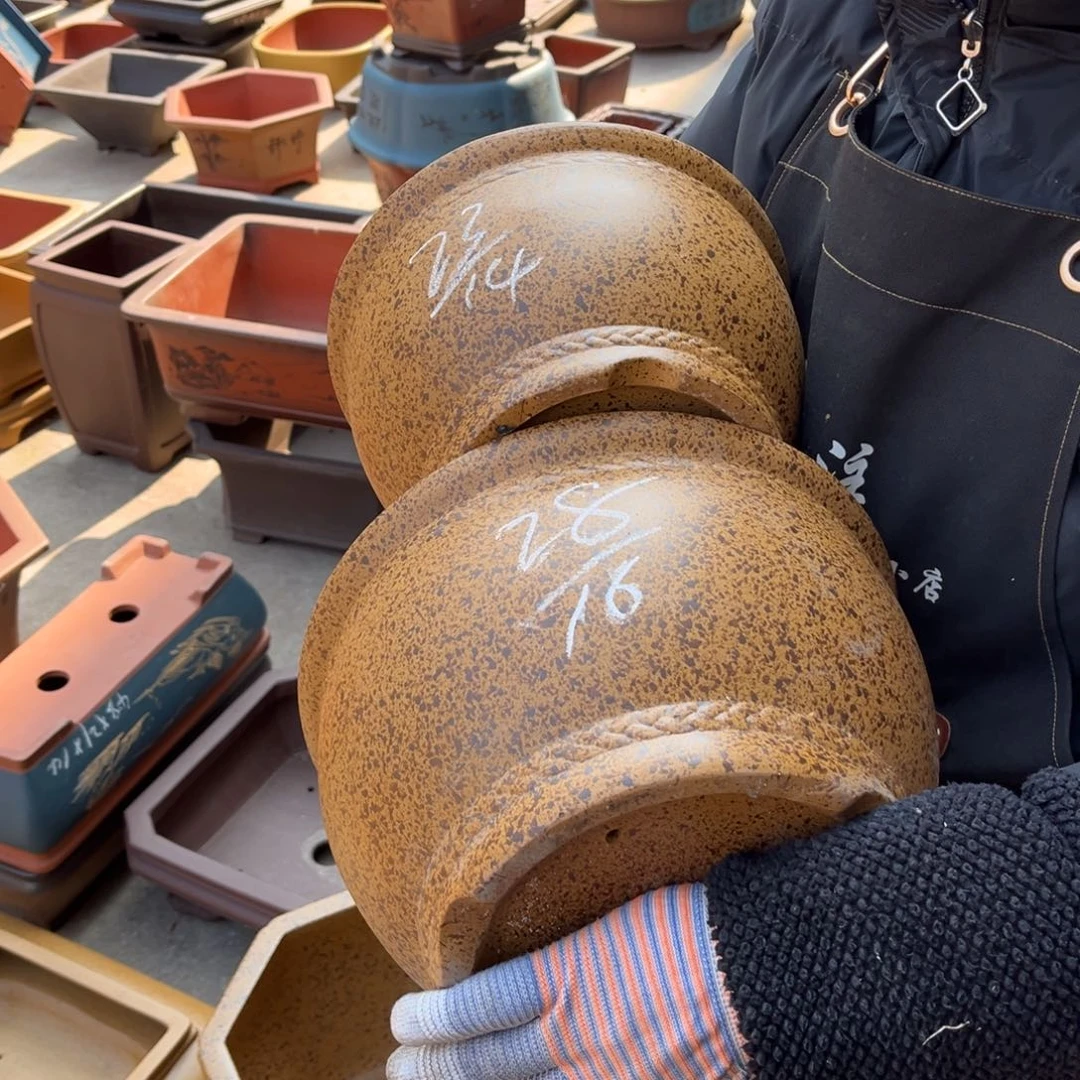 紫砂花盆盆景艺术