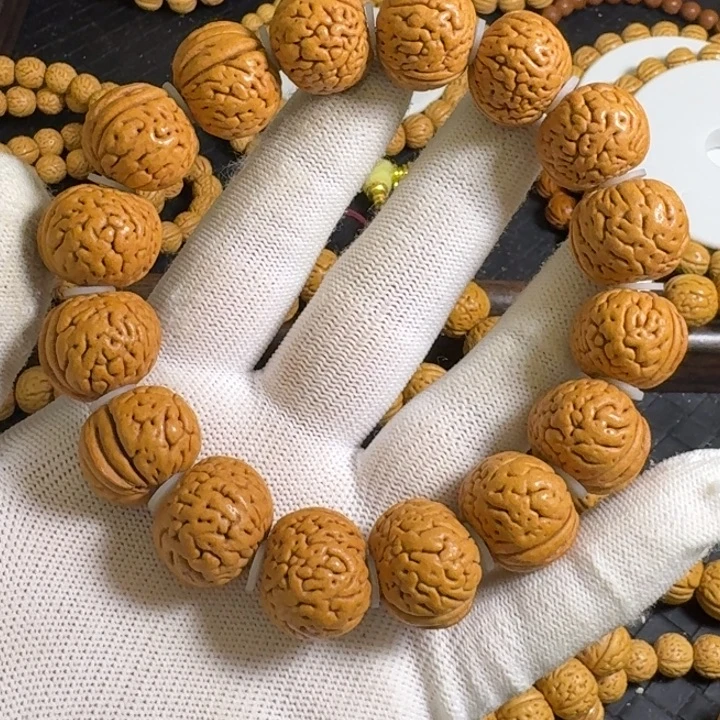 3号21尺寸金鱼肚全品