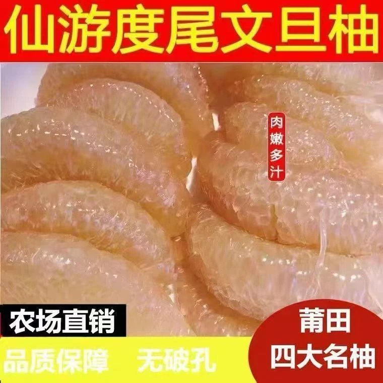 (礼盒装)福建仙游度尾文旦柚正宗老树红白心新鲜酸甜柚子