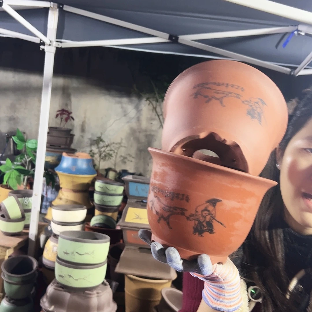 20+20光板放牛娃平角金钟