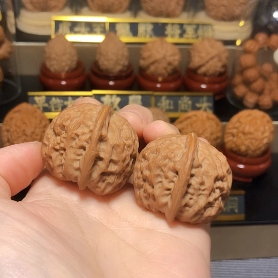 精品野生太行元宝全品