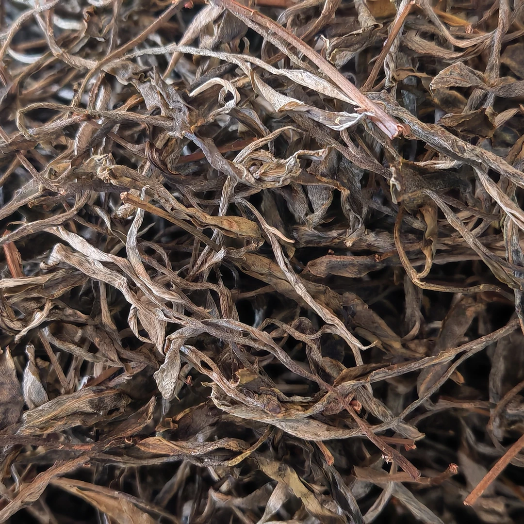 麻栗坡古树茶茶-单株古树