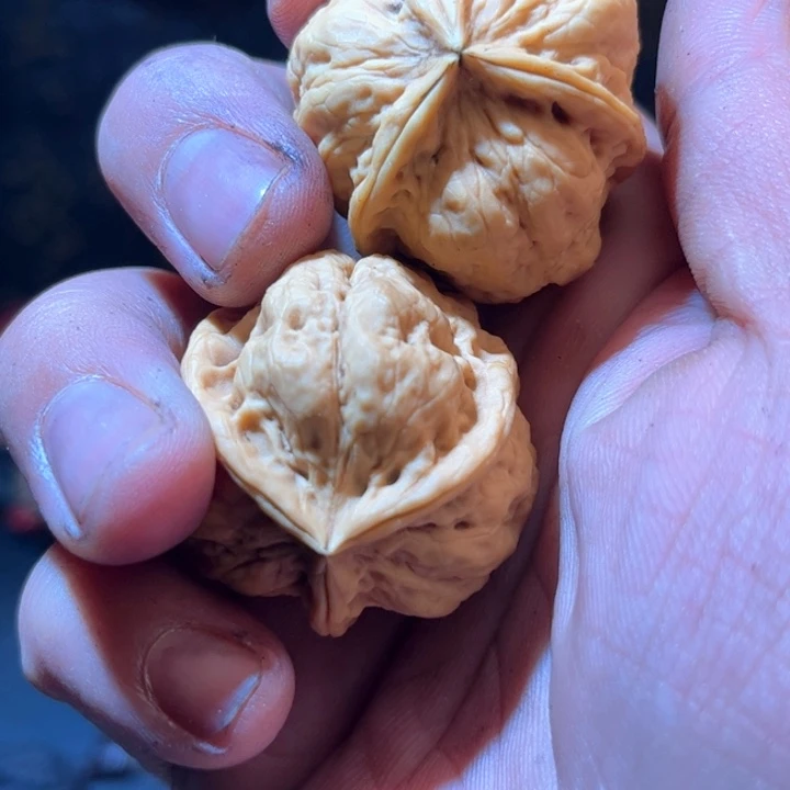 文玩核桃吊坠老*～滇西42