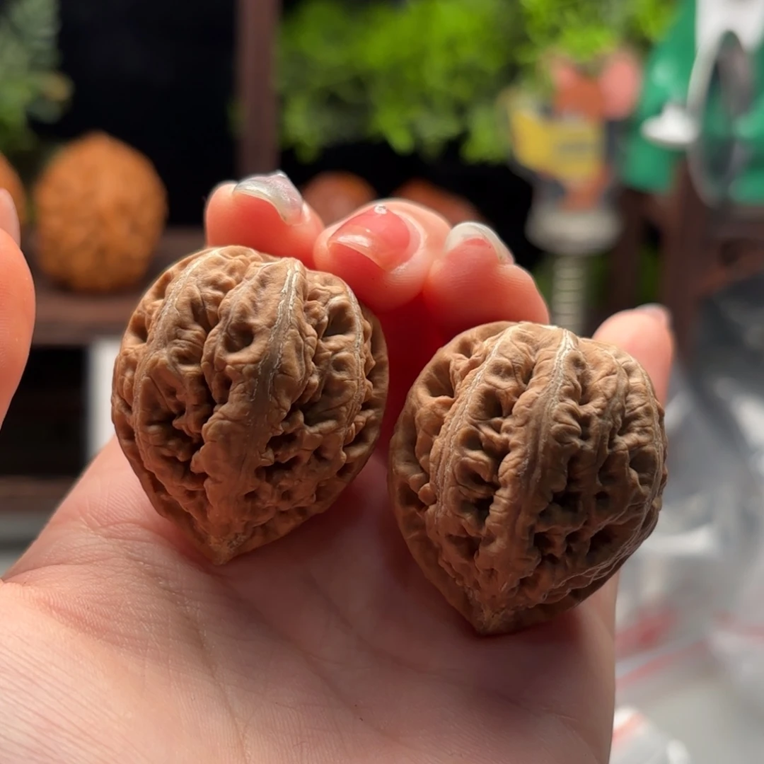 文玩核桃把件小楸千82