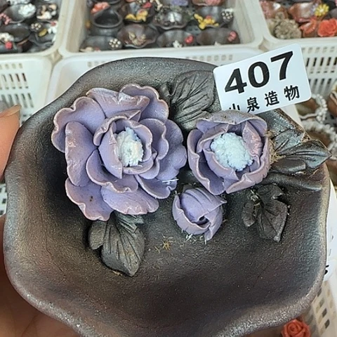 瓷片柴烧柴烧柴烧407