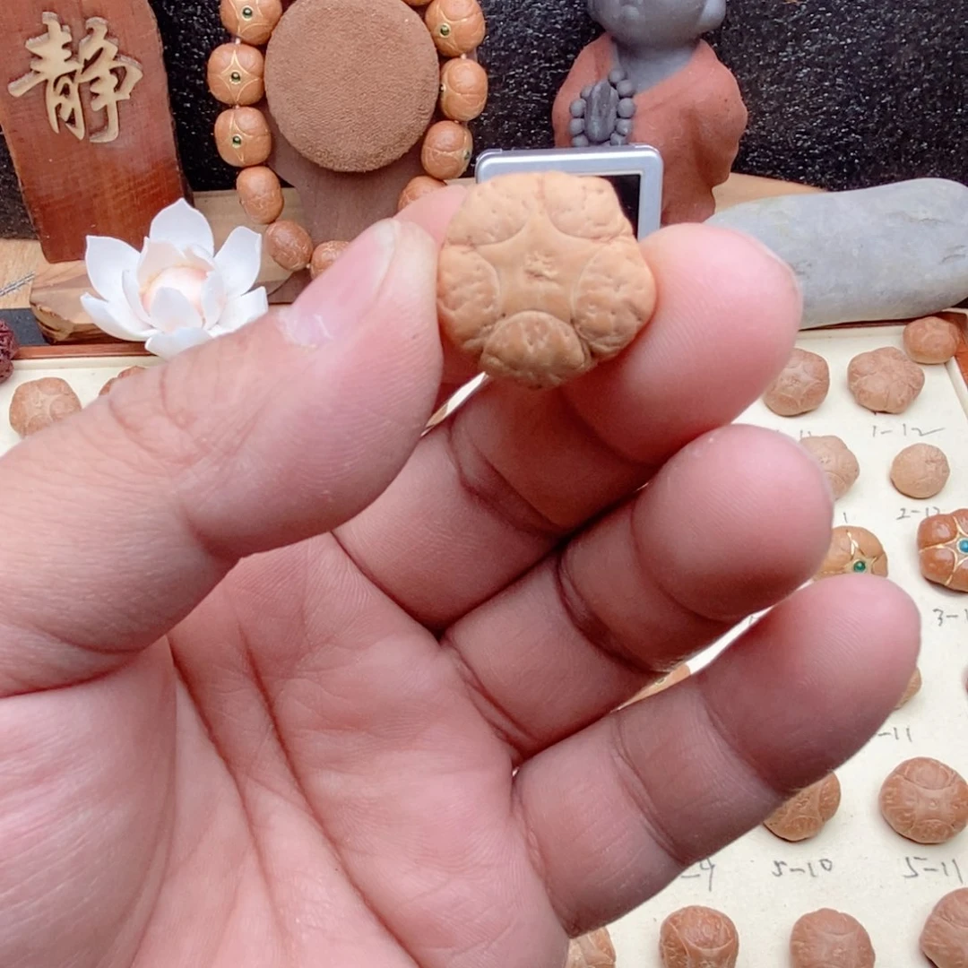 龙眼菩提吊坠五星皮质局部有点糠，售出不退不换，看清楚再拍
