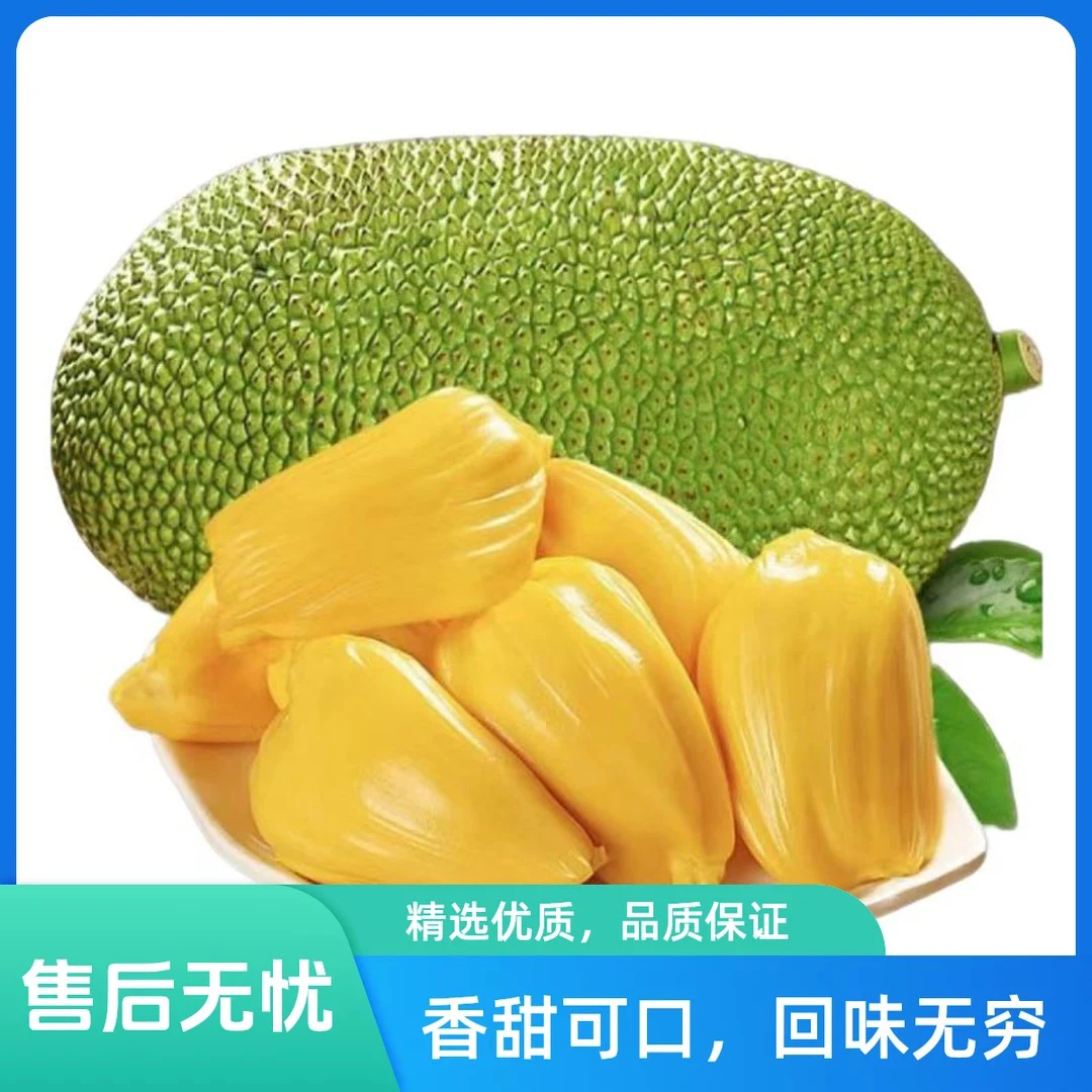 【双A果】越南红肉菠萝蜜9-11斤 默认取芯（取芯后8-9斤）红肉菠萝蜜越南社会主义共和国