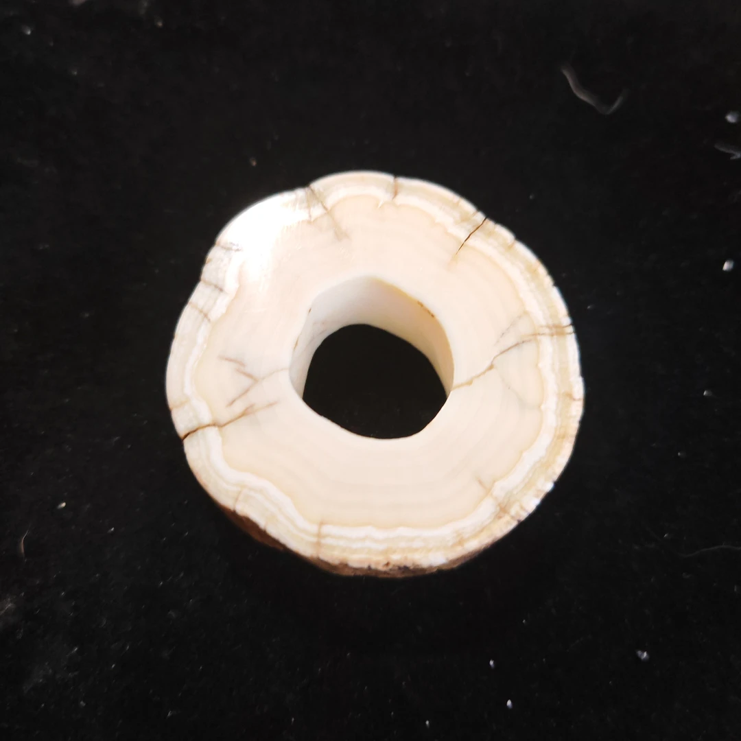 猛犸猛犸老独饼子TC055