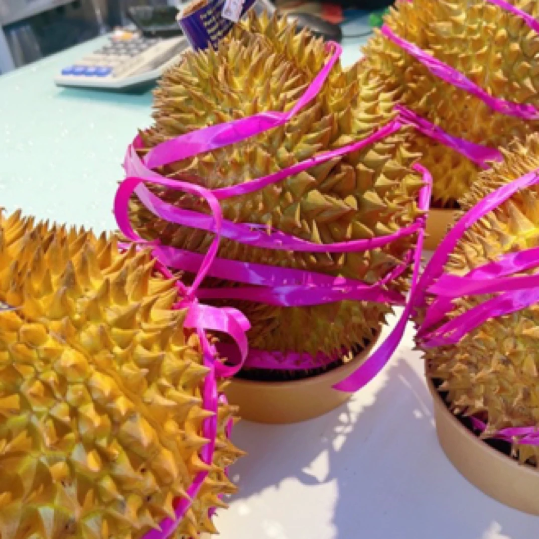 整果 新鲜金枕榴莲一个约4斤至4.5斤（剥盒备注）核小金枕泰国